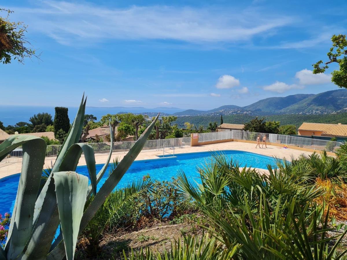 Bel Appartement Renove, Avec Terrasse Et Piscine La Croix-Valmer Exteriör bild